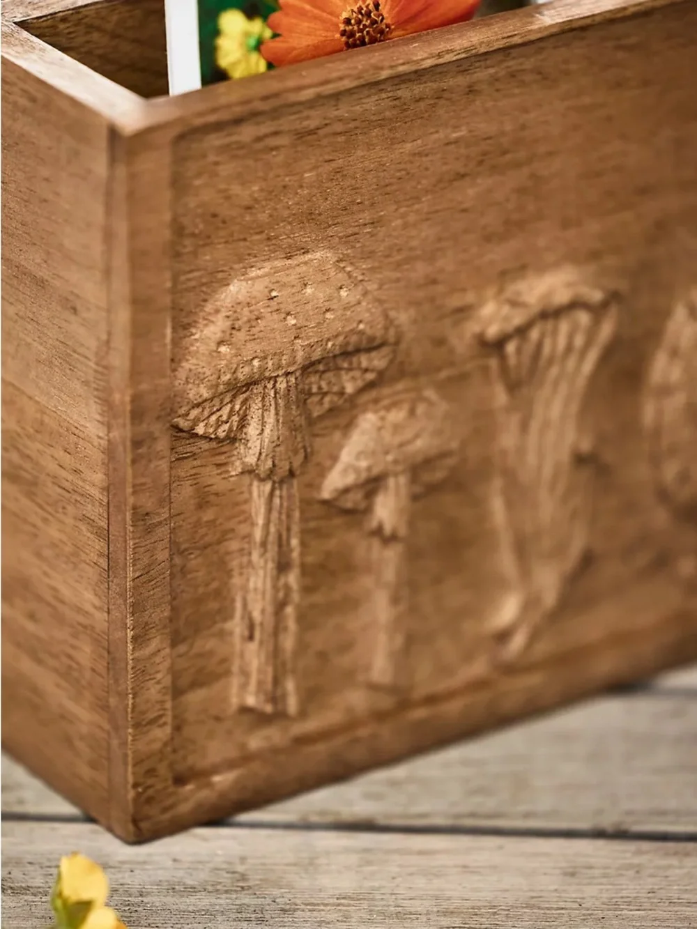 NWT Anthropologie Terrain Mushroom Seed Storage Box